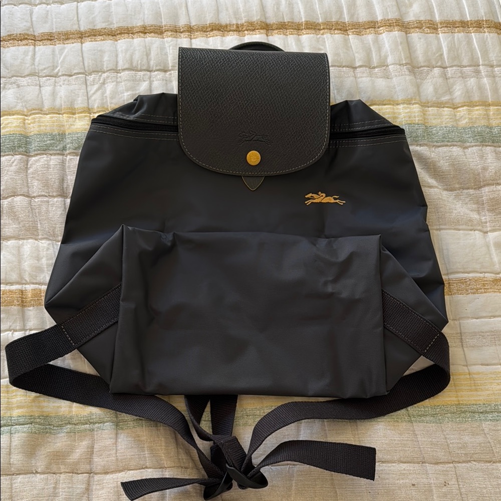 Longchamp grey Backpack medium size